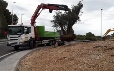 Obras sentidos giratorios